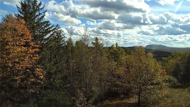 County Rte 7, Ancram, NY 12567 - photo 24