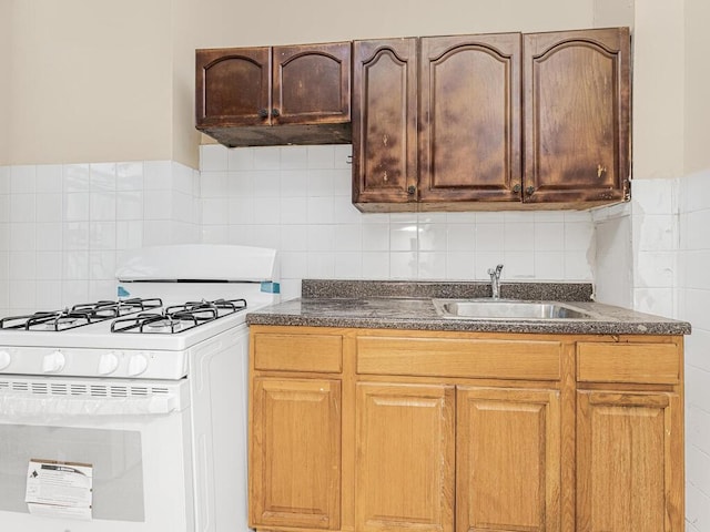 kitchen with ventilation hood, sink, and range