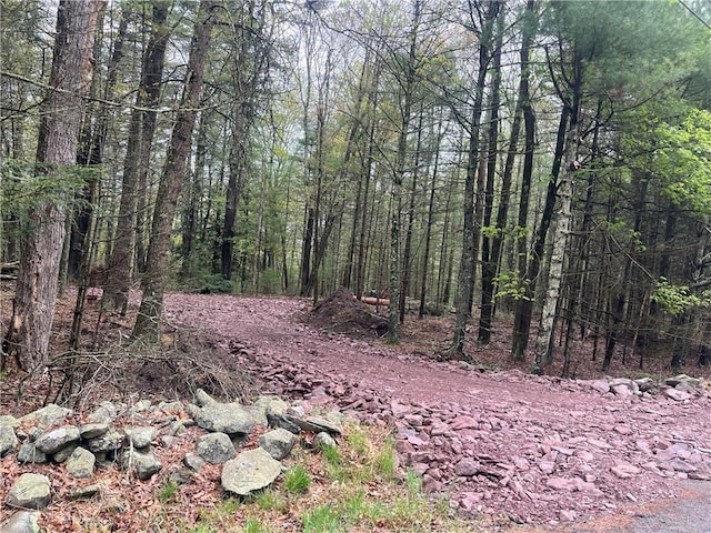 Listing photo 3 for LOT1 Van Tuyl Rd, Barryville NY 12719