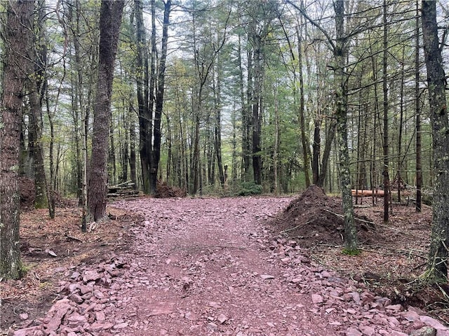 Listing photo 3 for LOT1 Van Tuyl Rd, Barryville NY 12719