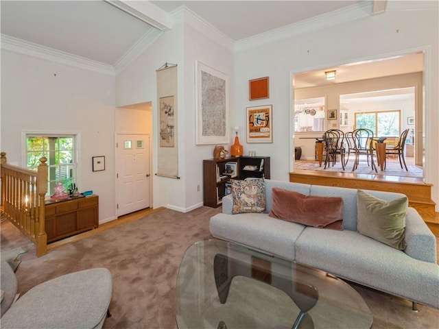 carpeted living room featuring a healthy amount of sunlight, ornamental molding, and vaulted ceiling