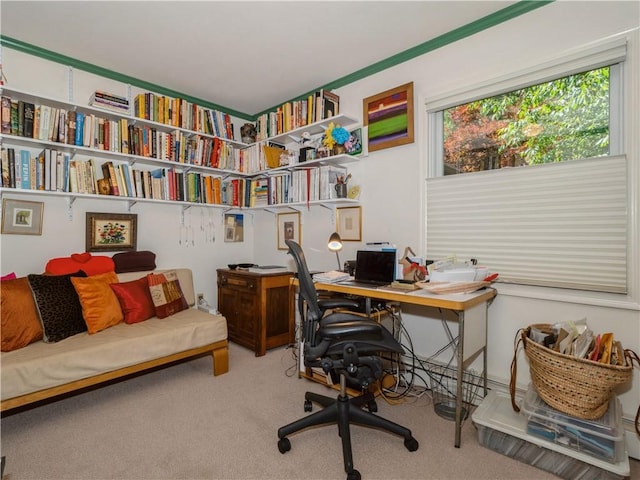 office space featuring light colored carpet