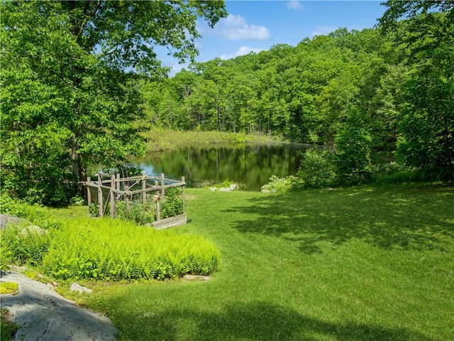 view of yard featuring a water view