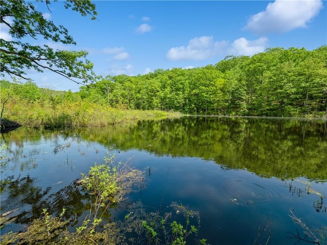 property view of water