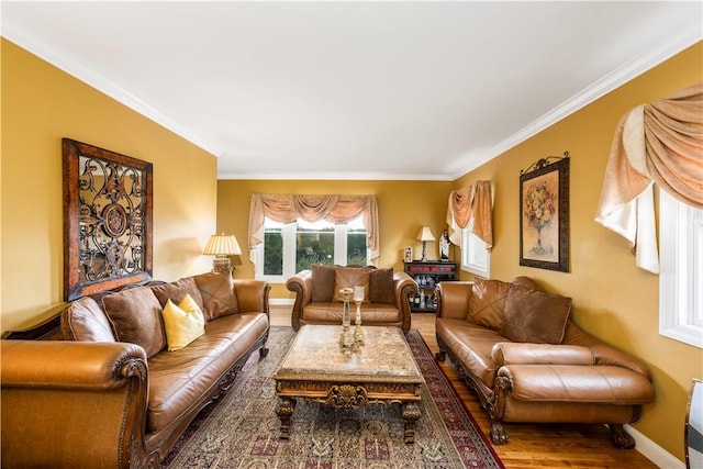 living room with ornamental molding and hardwood / wood-style flooring