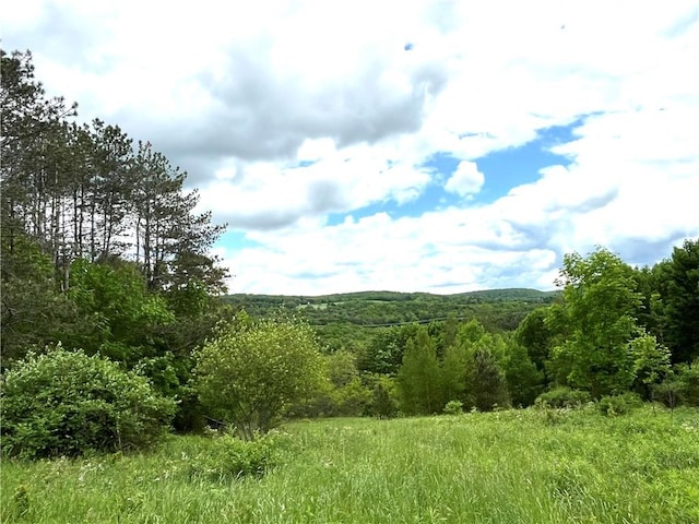 Dahlia Rd, Livingston Manor NY, 12758 land for sale