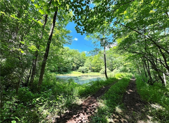 Dahlia Rd, Livingston Manor NY, 12758 land for sale