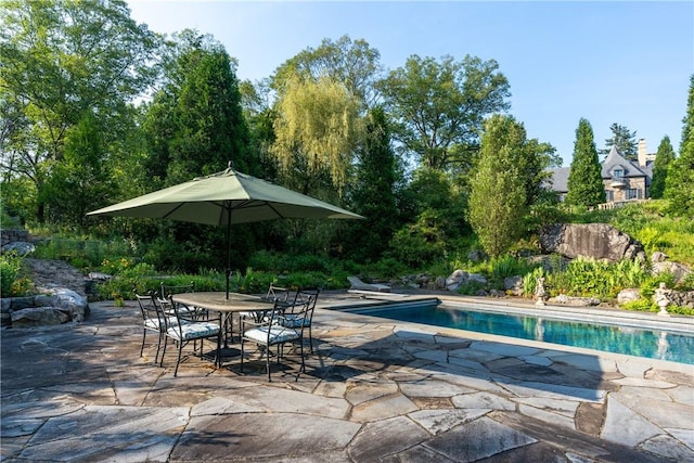 view of swimming pool featuring a patio area