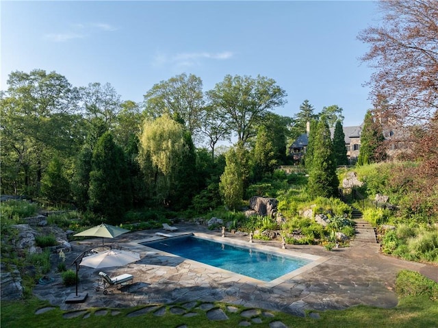 view of pool with a patio area