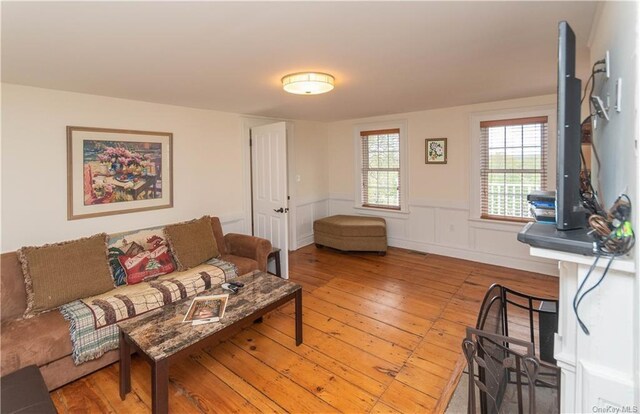 living room featuring hardwood / wood-style floors