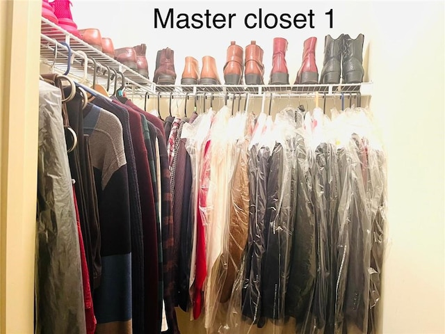 view of spacious closet