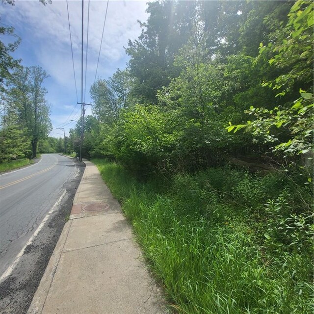 *** Mountaindale Road, Fallsburg, NY 12733 - photo 2