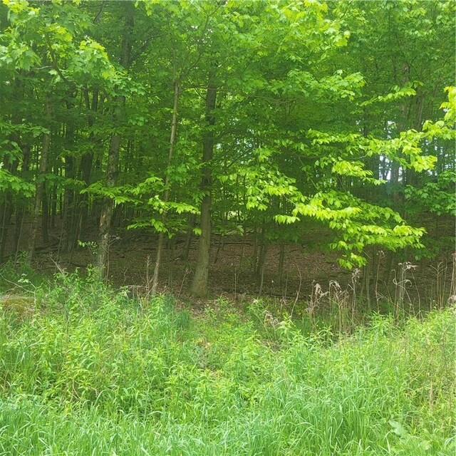 *** Mountaindale Road, Fallsburg, NY 12733 - photo 3