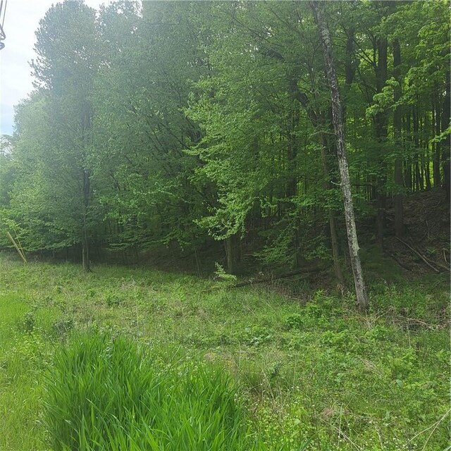 *** Mountaindale Road, Fallsburg, NY 12733 - photo 4
