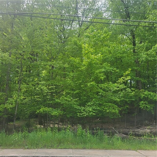 *** Mountaindale Road, Fallsburg, NY 12733 - photo 5