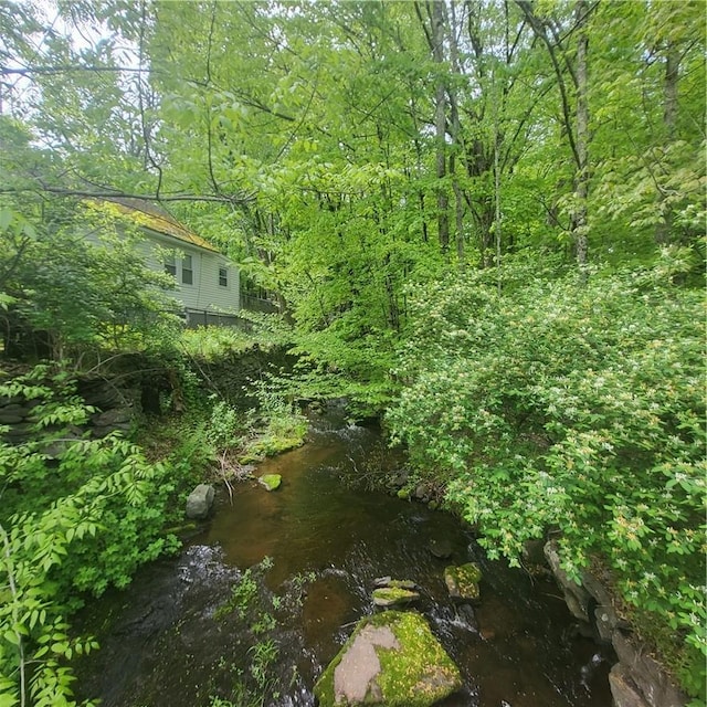 *** Mountaindale Road, Fallsburg, NY 12733 - photo 6