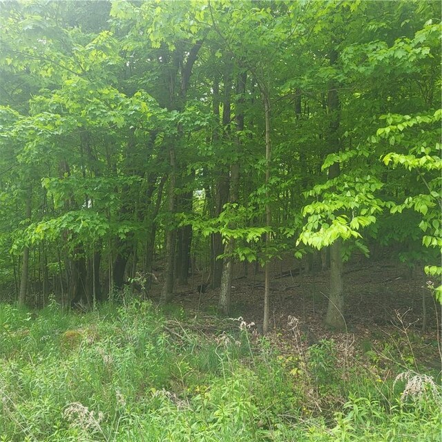 *** Mountaindale Road, Fallsburg, NY 12733 - photo 7