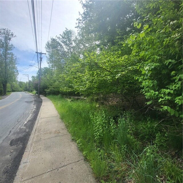 *** Mountaindale Road, Fallsburg, NY 12733 - photo 8