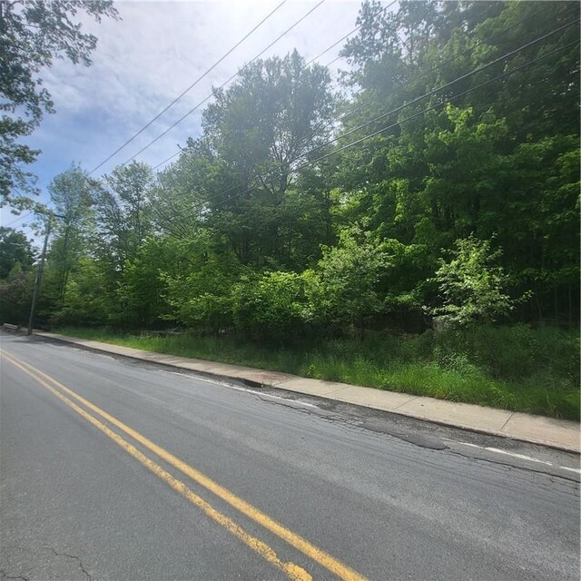 *** Mountaindale Road, Fallsburg, NY 12733 - photo 9