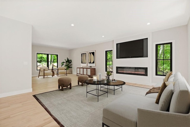 living room with light hardwood / wood-style floors