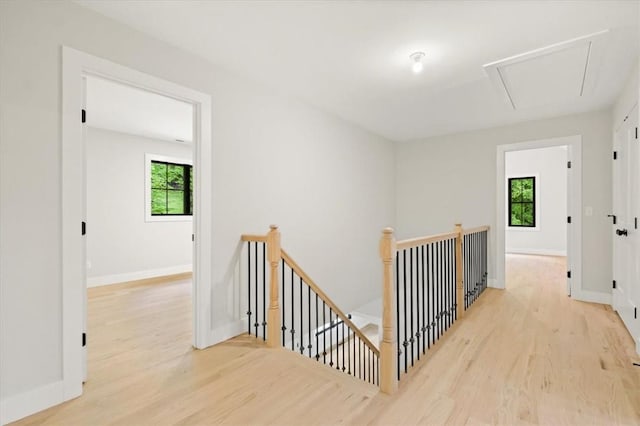 corridor with light hardwood / wood-style flooring and a healthy amount of sunlight