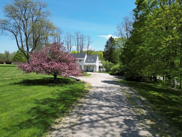 view of front facade featuring a front lawn