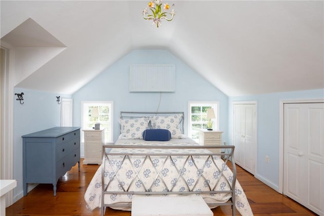 bedroom with two closets, vaulted ceiling, wood-type flooring, and multiple windows