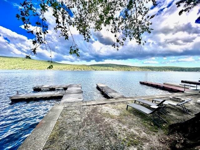 dock area featuring a water view