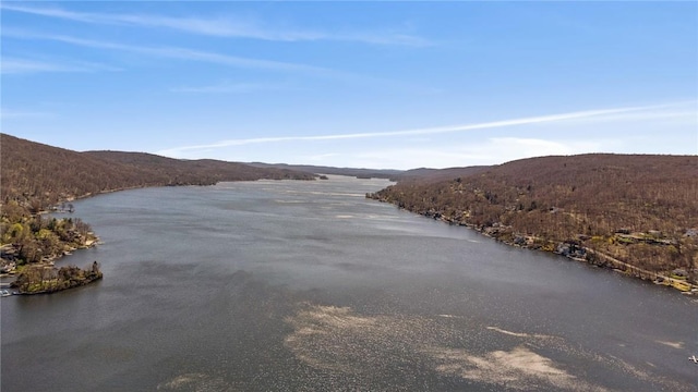 property view of water featuring a mountain view