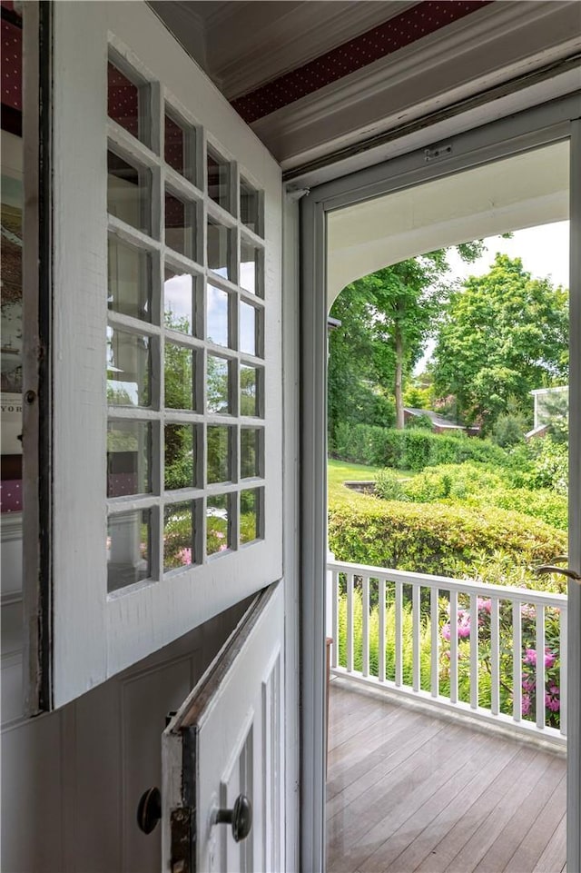 entryway featuring hardwood / wood-style flooring