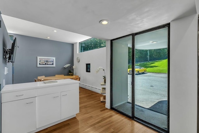 interior space featuring expansive windows, light wood-type flooring, a baseboard radiator, and a wealth of natural light