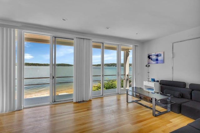 living room with a water view, light hardwood / wood-style flooring, and a healthy amount of sunlight