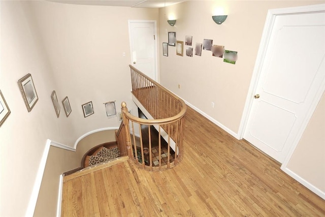 stairway featuring hardwood / wood-style flooring