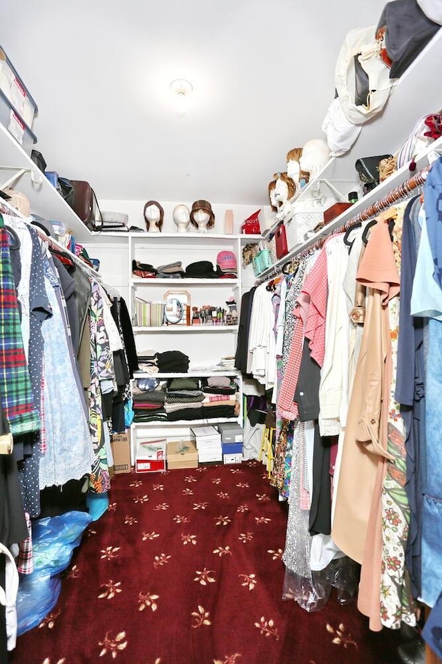 spacious closet featuring carpet flooring