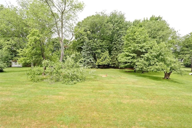 15 Concord Dr, Monsey, NY 10952 - photo 33