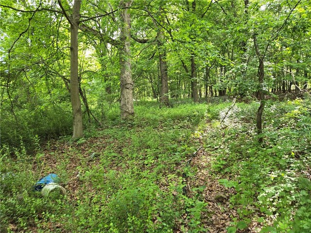 149 Barger St, Putnam Valley, NY 10579 - view of local wilderness