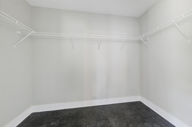 spacious closet with carpet flooring