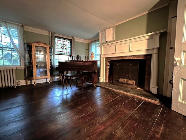 miscellaneous room with lofted ceiling, radiator, and dark wood-type flooring