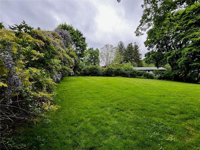 33 Ryder Rd, Ossining, NY 10562 - photo 27