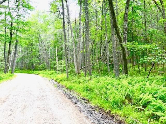 Loch Ada Rd, Glen Spey, NY 12737