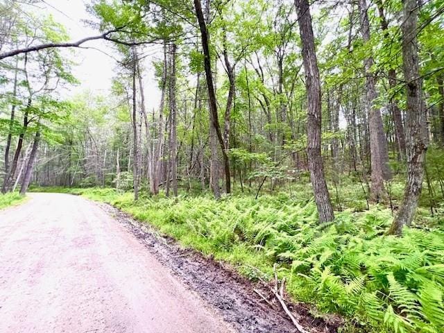 Loch Ada Rd, Glen Spey, NY 12737