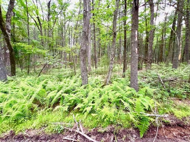 Loch Ada Rd, Glen Spey, NY 12737