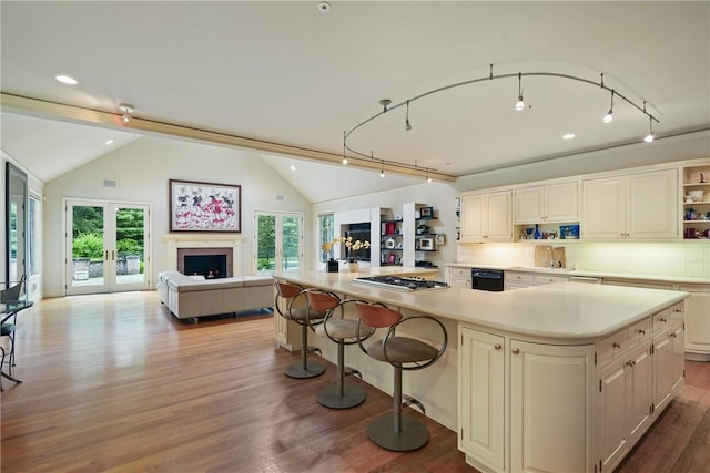 9 Lincoln Woods, Purchase, NY 10577 - kitchen with hardwood / wood-style floors, a wealth of natural light, french doors, and a spacious island