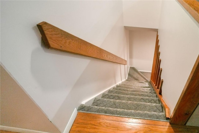 staircase with carpet