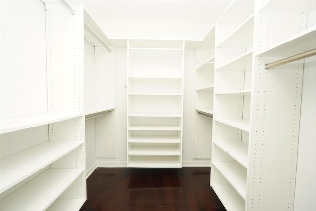 walk in closet with dark wood-type flooring