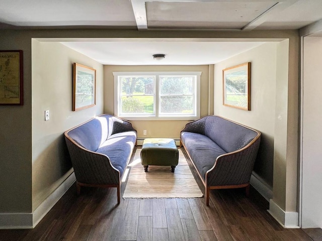 living area featuring a baseboard radiator and dark wood-type flooring