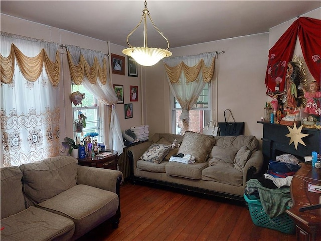 living room featuring hardwood / wood-style flooring