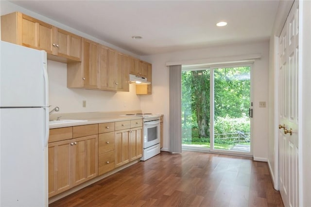 kitchen featuring light brown cabinetry, sink, dark hardwood / wood-style floors, and white appliances