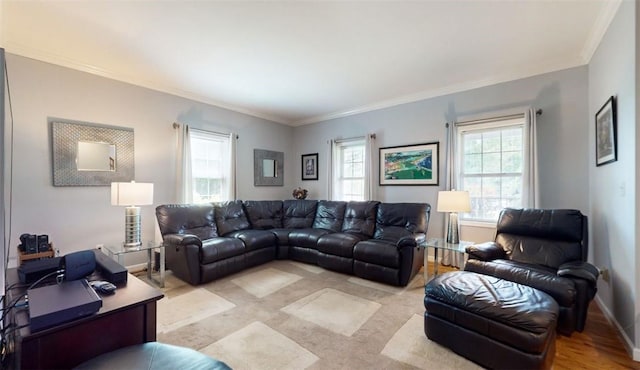 living room featuring crown molding