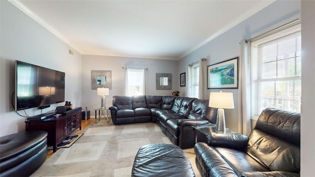 living room featuring crown molding